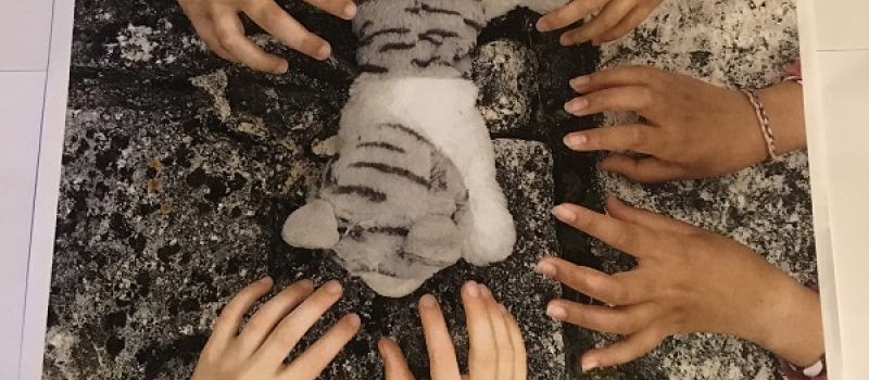 Représentation théâtrale de la troupe des enfants "Les enfantillages"  : "Qui a tué Minou ?"