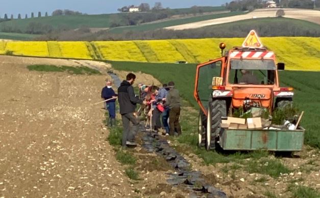 Un peu partout, on replante des haies. Ici, sur la commune de Saint-Clar
