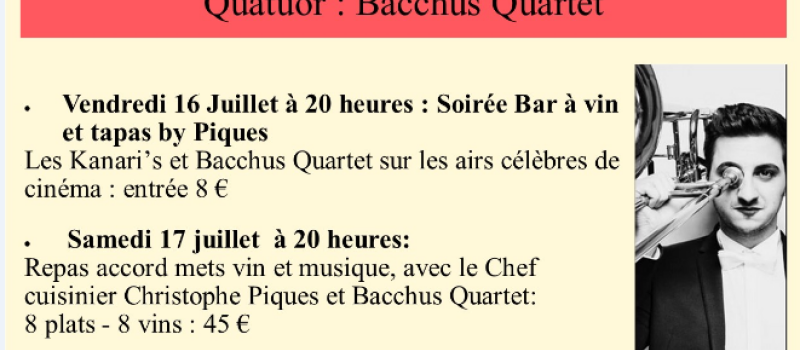 Musique  au Domaine de la Haille