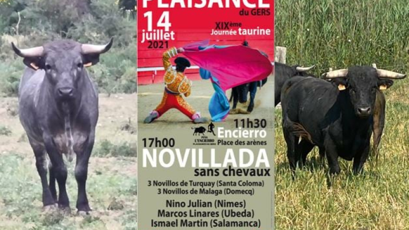 Les Novillos du 14 juillet sont choisis