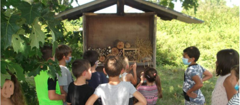 L'école de la nature ou la nature à l'école
