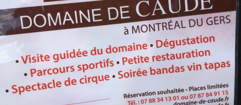 Vineart en Gascogne à Caude
