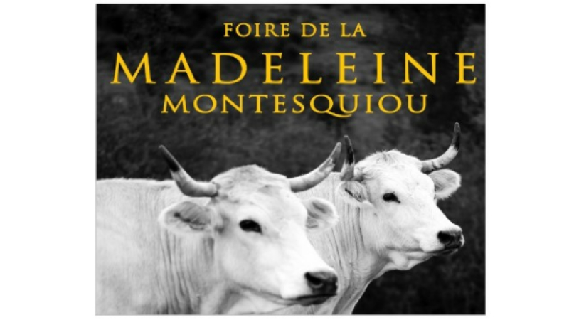 Le président de l'association La Foire de la Madeleine sur DFM 930 jeudi