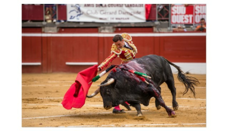 Antonio Ferrera seul face à six toros d'Adolfo Martin à Mont de Marsan