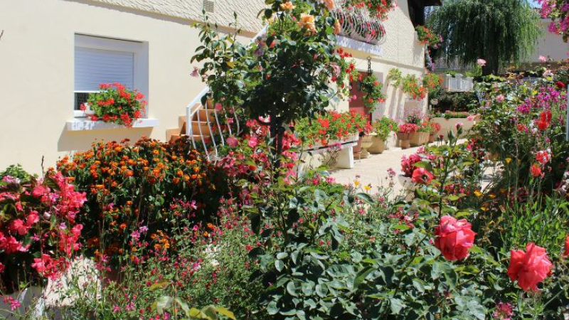 Maisons fleuries