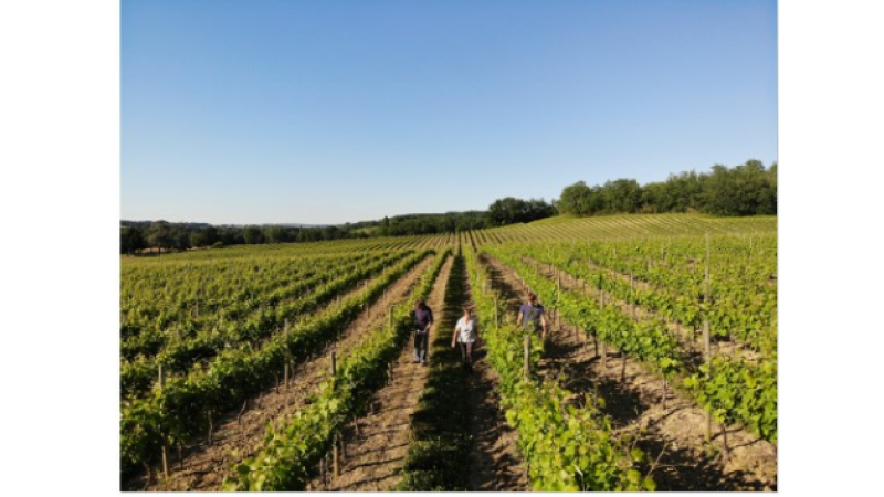 Le Domaine du Broca en fête le week-end prochain dans le cadre de Vineart
