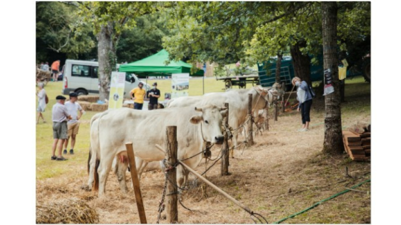 Plein succès pour la 3èmeédition de la Foire de la Madeleine