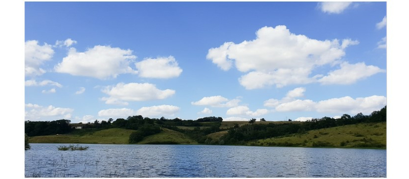 Partez à la découverte de la biodiversité du lac de Saint-Jean à Peyrusse-Vieille