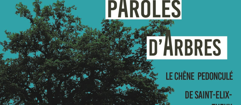 Paroles d’arbres