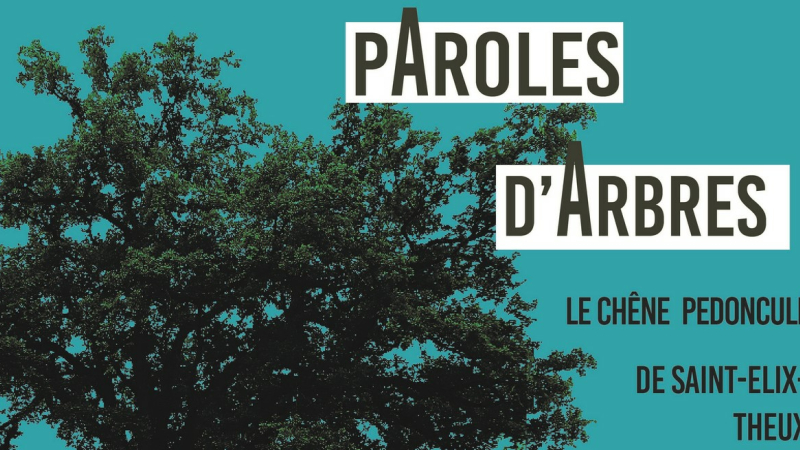 Paroles d’arbres