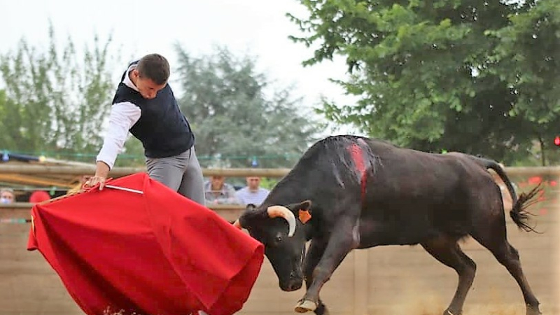 Tienta aux Arènes du Lartet