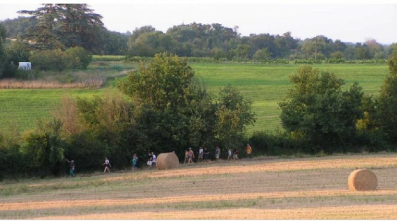 Retour sur "la rando des cailles" du club de Lagardère