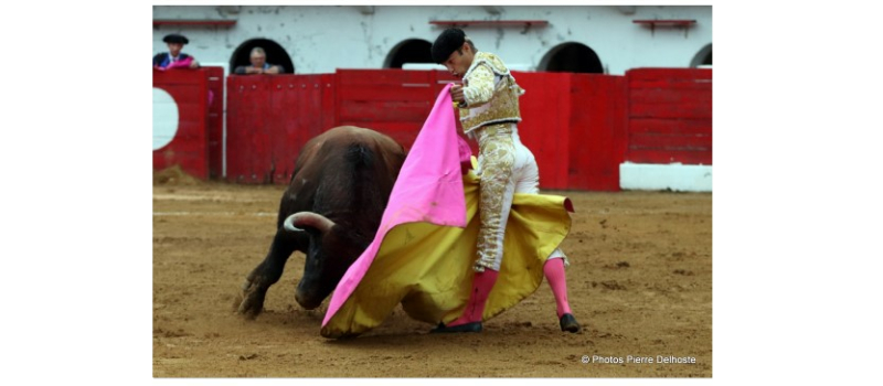 Riscle: pari réussi pour cette première corrida !