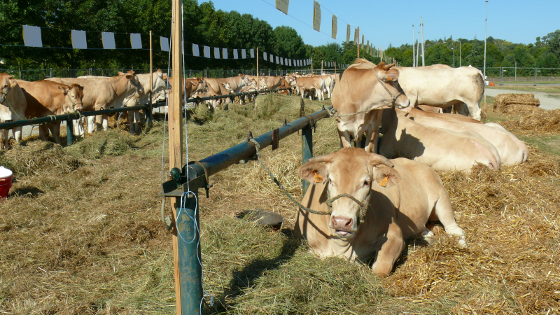 La 11ème édition de Gascogn'Agri se prépare