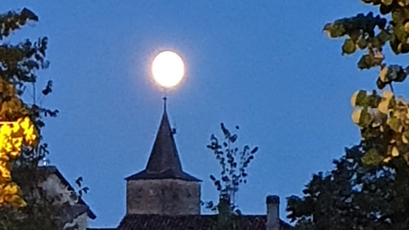 Le marché gourmand de nuit du 25 août n'aura pas lieu !