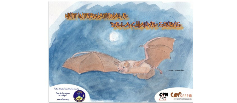 25ème Nuit Internationale de la Chauve-Souris vendredi 27 Août à Montréal-du-Gers