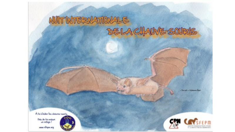 25ème Nuit Internationale de la Chauve-Souris vendredi 27 Août à Montréal-du-Gers