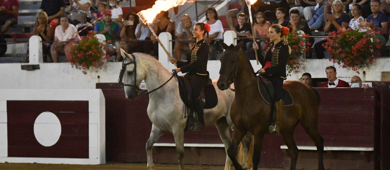 Chevaux et passions du Sud aux arènes samedi