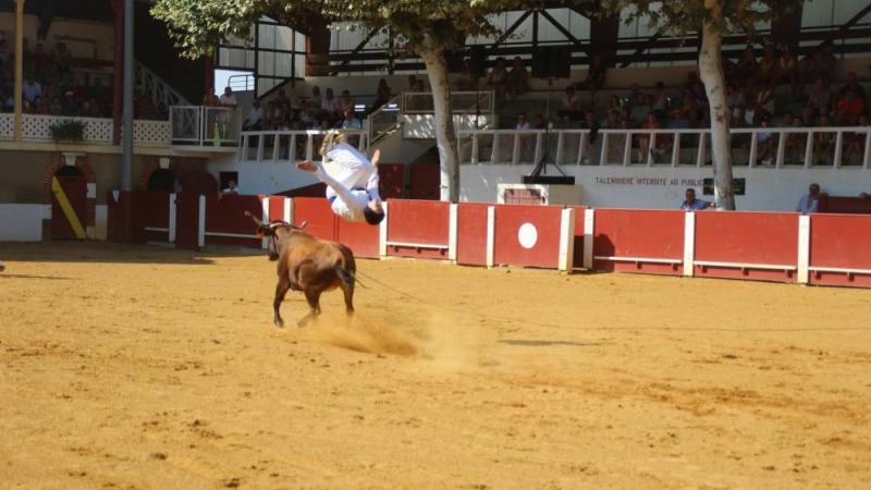 Course landaise