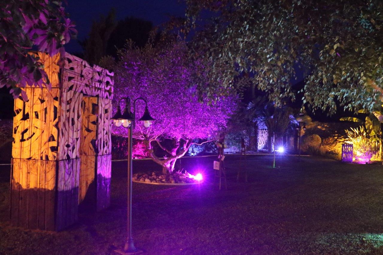Les jardins du Conti : un beau spectacle - Photo Marc Le Saux