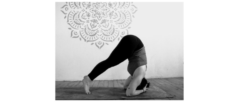 Vic Vinyasa Yoga : la reprise !