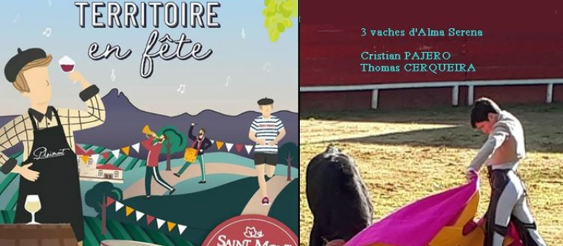 Dimanche  la "Tienta" des Vignerons aux Arènes