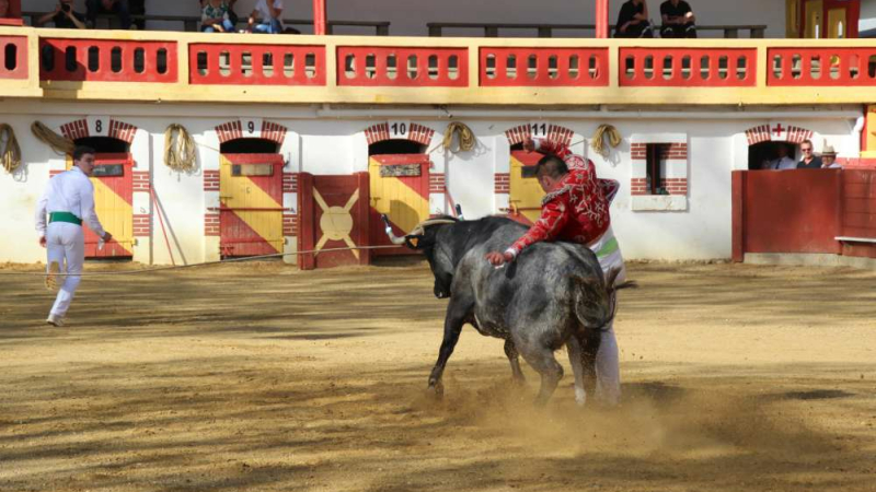 Course landaise