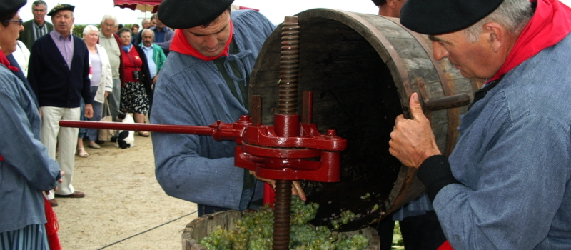 Le raisin est à point pour la fête des vendanges au château de Crouseilles