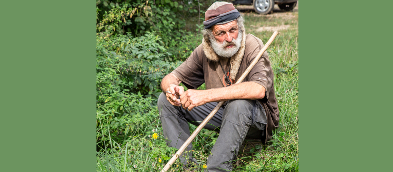 Passage de «la Transhumance» à Perchède et Toujouse