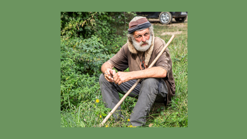 Passage de «la Transhumance» à Perchède et Toujouse