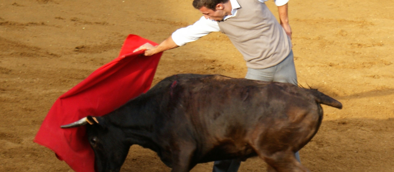 une nouvelle novillada au Lartet