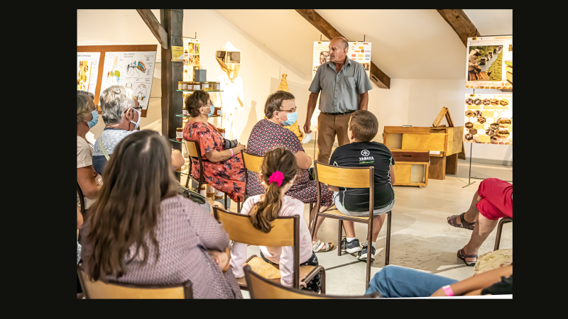 Récolte de miel et dégustation à Toujouse ce 19 septembre