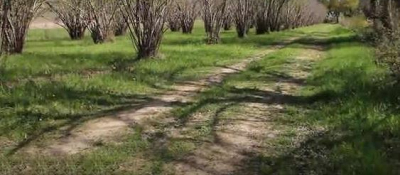 À la découverte des Sentiers de Villeneuve