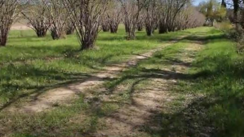 À la découverte des Sentiers de Villeneuve