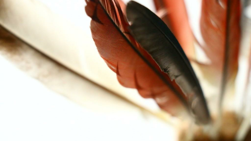 Bulletin Plume « moins 5 »