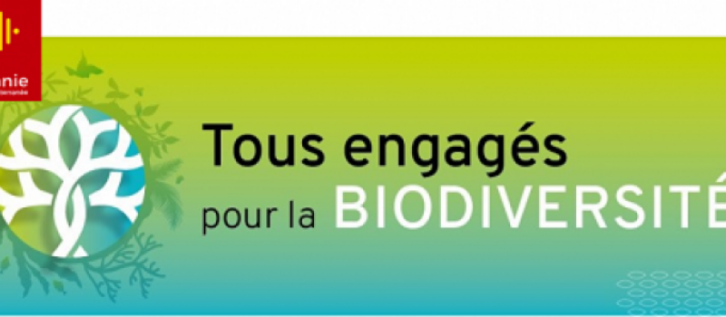 Plus que quelques heures pour voter