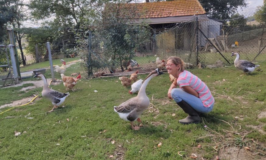 Heidi avec Norbert, le jard le plus sympa au monde, au milieu de ses poules rescapées.