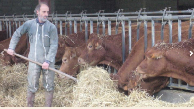 Anticiper et préparer la transmission de son exploitation agricole