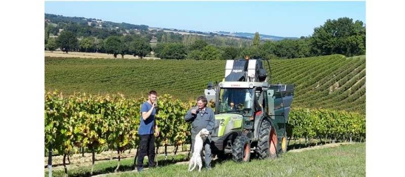 Clap de fin pour les vendanges 2021 au Domaine le Broca