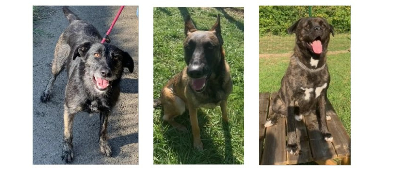 Kyla, Mira et Ulfark sont les vedettes de la semaine !