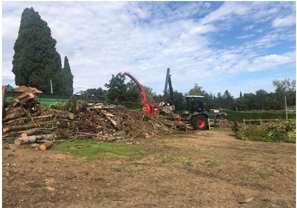 travaux cimetière services techniques.JPG