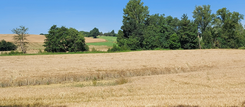 Le Gers mis à l'honneur par un poète local