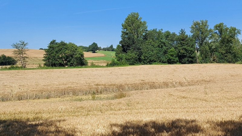 Le Gers mis à l'honneur par un poète local