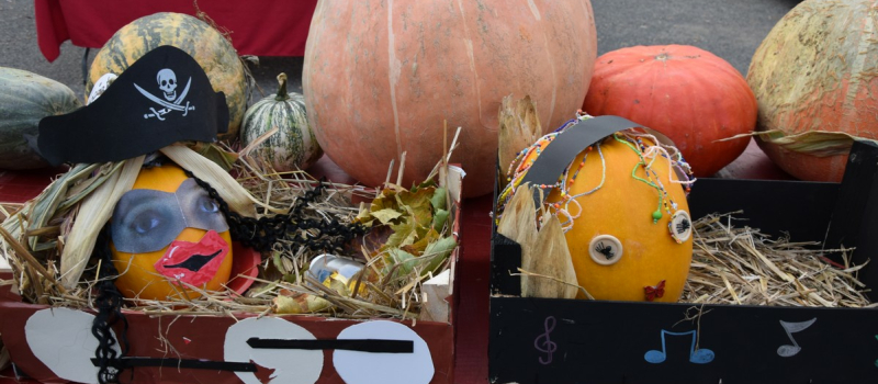 De nombreuses récompenses au concours des citrouilles