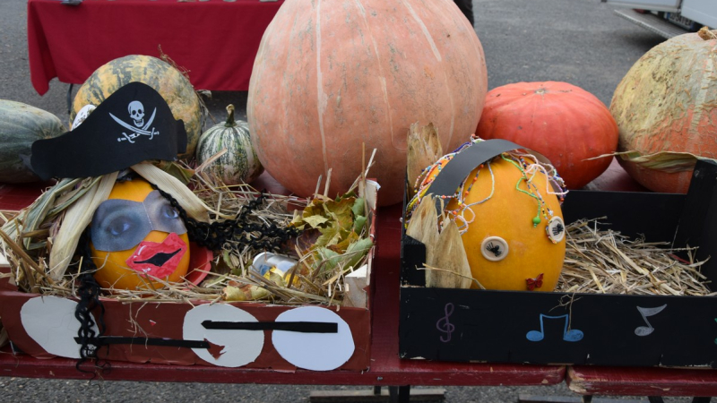De nombreuses récompenses au concours des citrouilles
