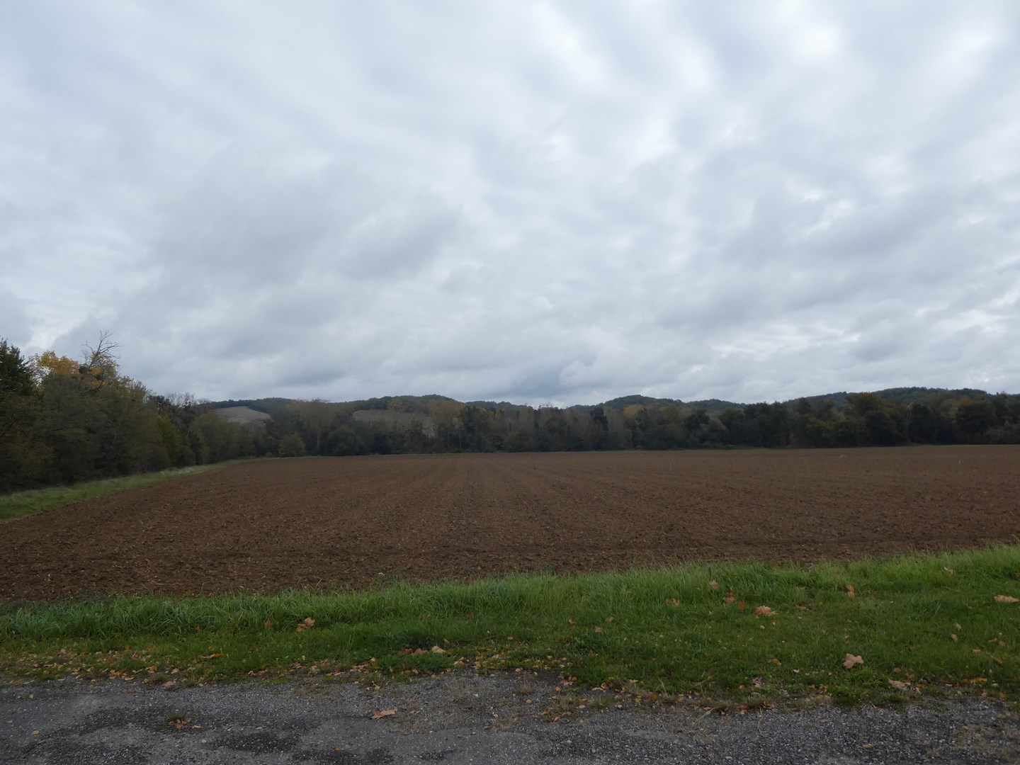 4 hectares de terre  agricole vont être bétonnées à l'entrée de la bastide....