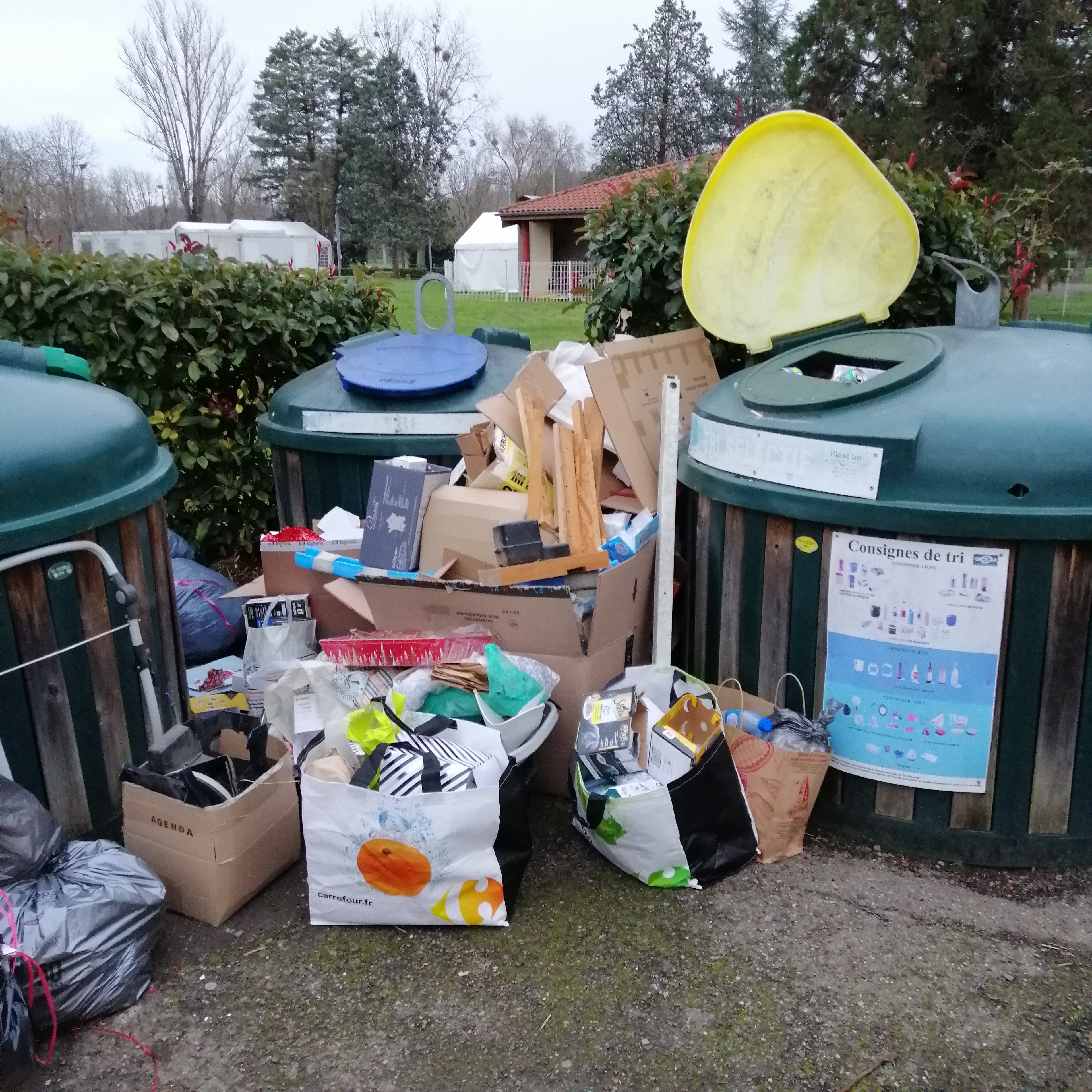 IMG_20201227_171648.jpg