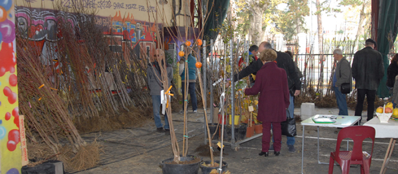 La foire de Sainte Catherine