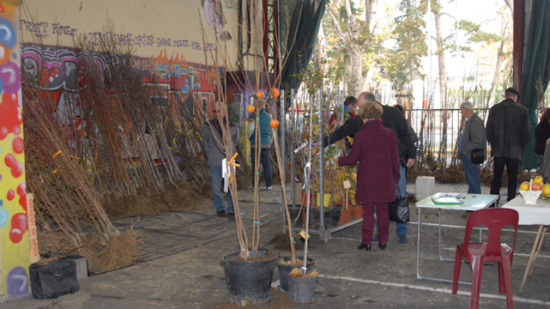 La foire de Sainte Catherine