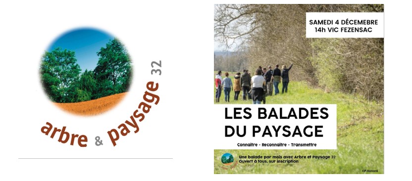 Capture d’écran 2021-11-26 153927.jpg